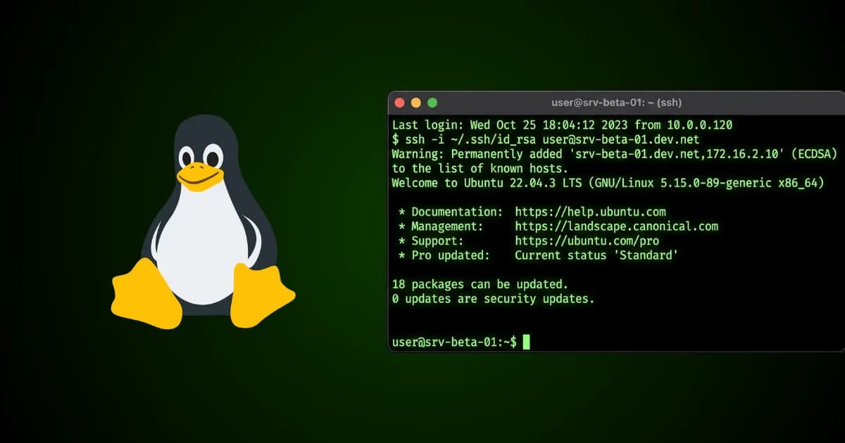 Securing Your Linux VPS: 5 Essential Steps Before Going Live